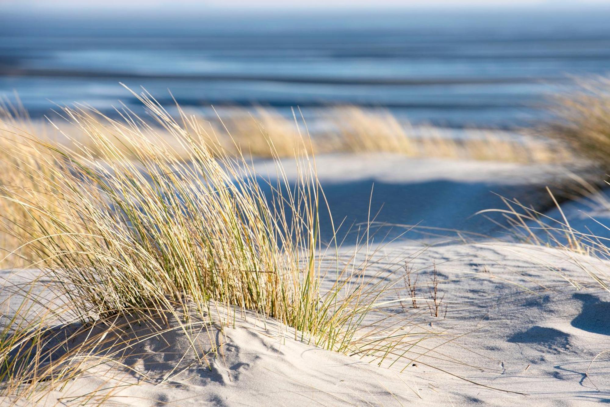 Baumzeltdorf Ostseebreeze Direkt Am Strand Дранске Екстер'єр фото